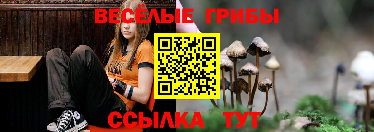 Галлюциногенные грибы Cubensis  где найти   Ишим  Вход с VPN 